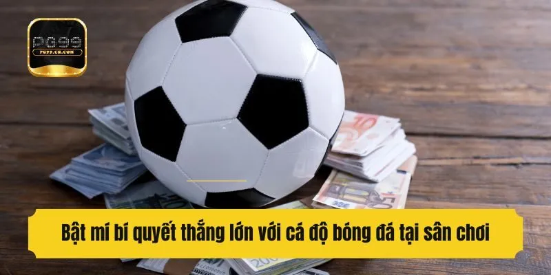 Bật mí bí quyết thắng lớn với cá độ bóng đá tại sân chơi