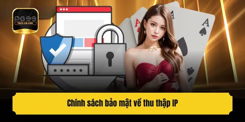 Chính sách bảo mật về thu thập IP