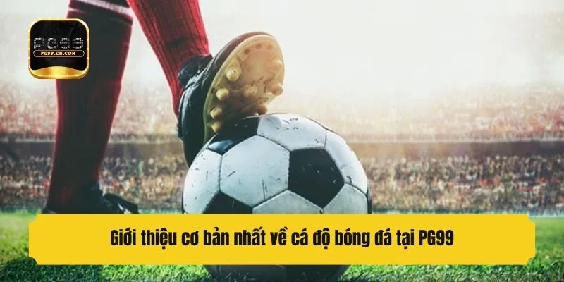Giới thiệu cơ bản nhất về cá độ bóng đá tại PG99