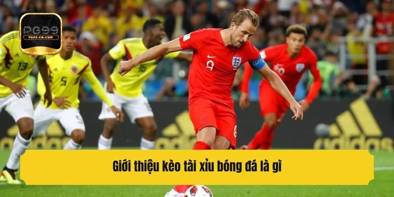Giới thiệu kèo tài xỉu bóng đá là gì