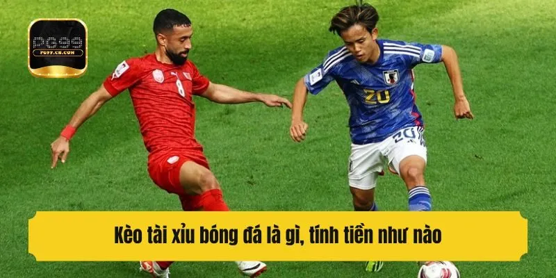 Kèo tài xỉu bóng đá là gì, tính tiền như nào