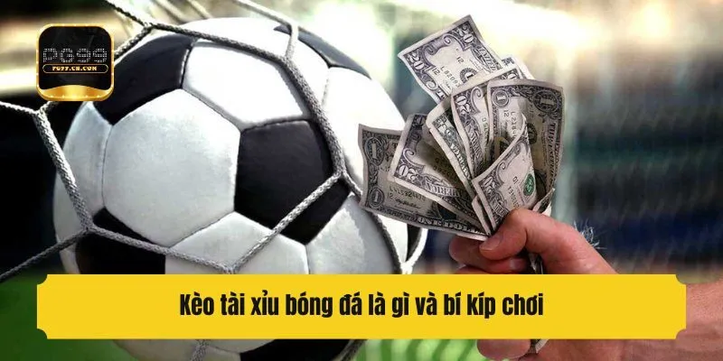 Kèo tài xỉu bóng đá là gì và bí kíp chơi