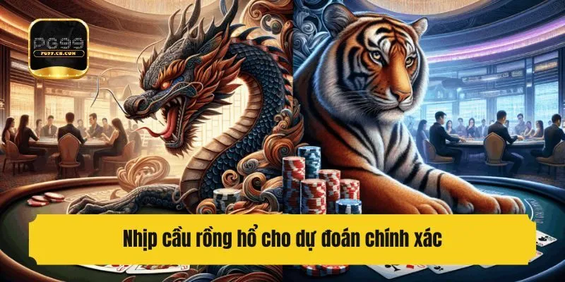 Nhịp cầu rồng hổ cho dự đoán chính xác